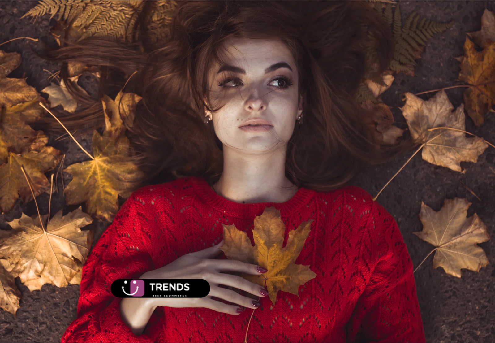 Forgot Password Page Image